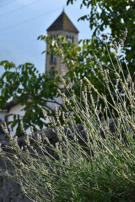 Il Drago Al Roseto Del Drago Villa San Bernardo  ภายนอก รูปภาพ