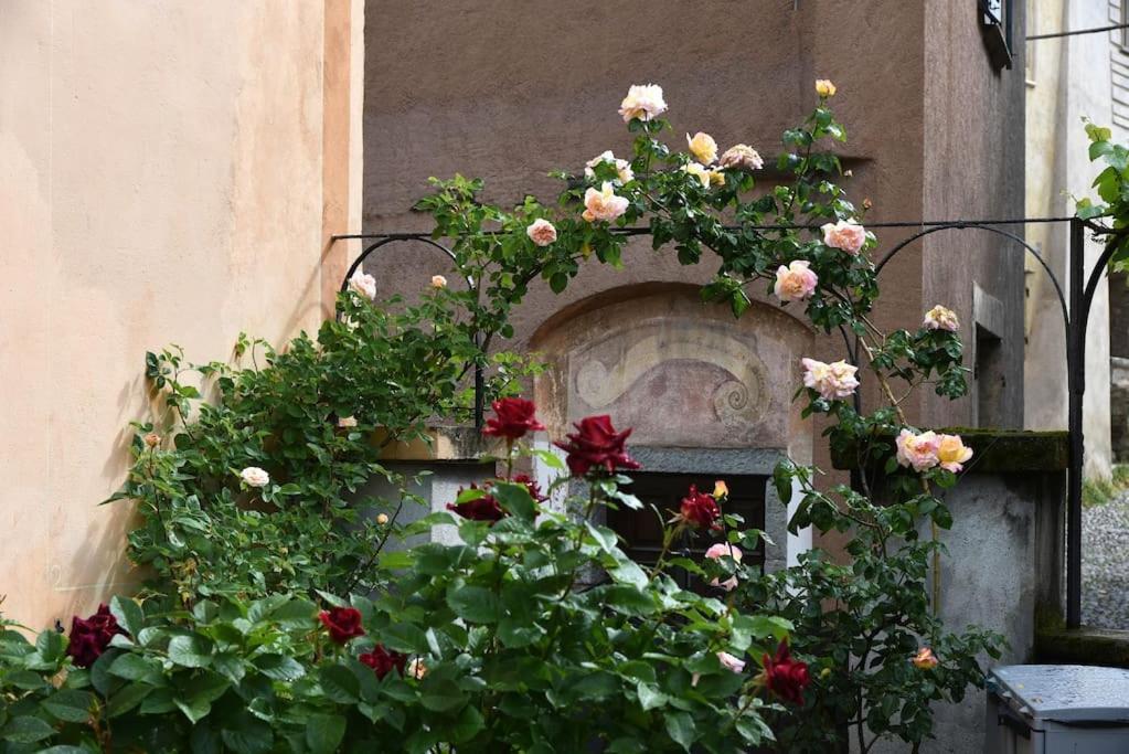 Il Drago Al Roseto Del Drago Villa San Bernardo  ภายนอก รูปภาพ