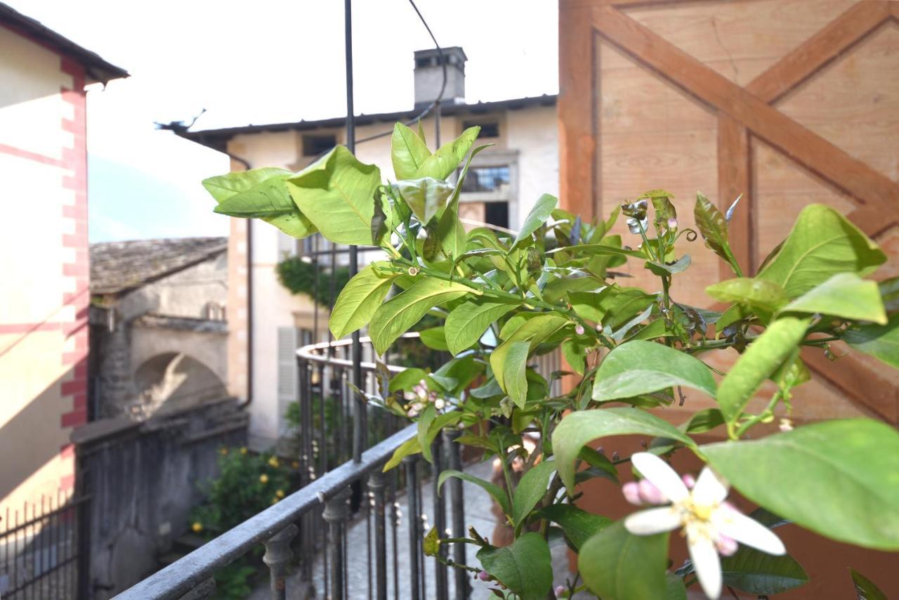 Il Drago Al Roseto Del Drago Villa San Bernardo  ภายนอก รูปภาพ